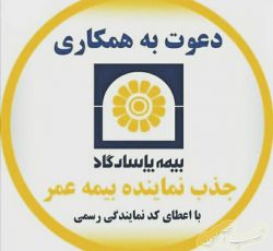 دعوت به همکاری شرکت بیمه پاسارگاد در شیراز