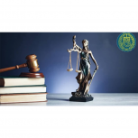 وکیل دادگستری و مشاور حقوقی قوه قضائیه ،کارشناس ارشد حقوق خصوصی در تهران