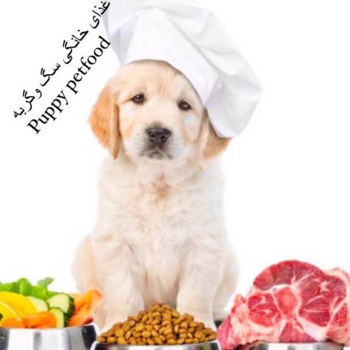 غذای خانگی و ارگانیک سگ و گربه و انواع تشویقی ارگانیک