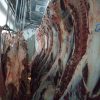 فروش عمده گوشت قرمز به تهران و اهواز در تبریز