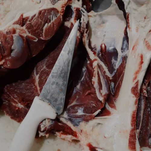 فروش عمده گوشت قرمز به تهران و اهواز در تبریز