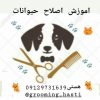 دامپزشکی و اصلاح حیوانات در تهران