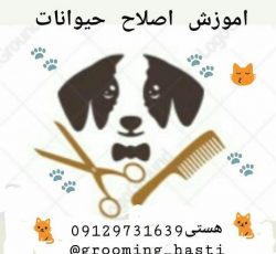 دامپزشکی و اصلاح حیوانات در تهران