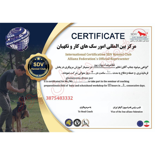 مربی و رفتار شناس سگ  در تهران