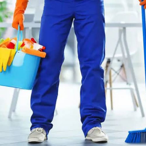 نظافت آپارتمان و منزل و باغبانی در اهواز