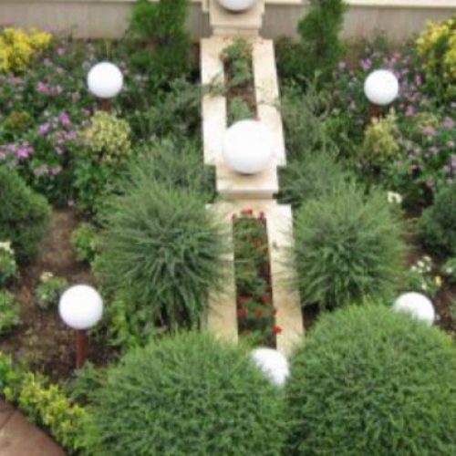 خدمات باغچه هرس سمپاشی درختان و گل گیاه وعلف تراشی در نوشهر