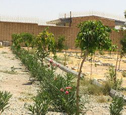 فروش باغ‌ و باغچه در شهریار