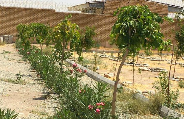 فروش باغ‌ و باغچه در شهریار