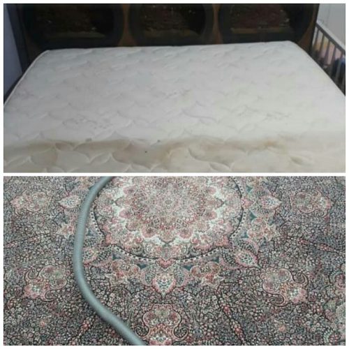 خدمات نظافتی مبل و انواع قالی با دستگاه های پیشرفته در منزل  در کرمان