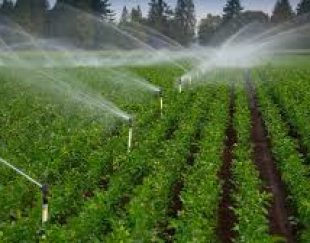 طراحی و اجرای لوله کشی آبیاری بارانی و جوشکاری لوله های کشاورزی در قزوین – اقبالیه