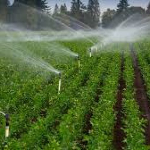 طراحی و اجرای لوله کشی آبیاری بارانی و جوشکاری لوله های کشاورزی در قزوین – اقبالیه