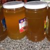 فروش عسل طبیعی زنبور وحشی(کوهی ) در سراسر ایران