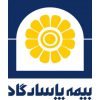 خدمات بیمه پاسارگاد در اهواز – خوزستان