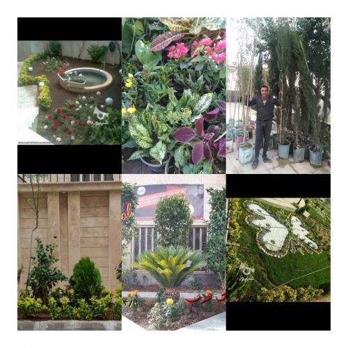 انجام کلیه امور باغبانی و گل در تهران