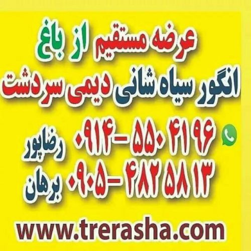 عرضه مستقیم انگور سیاه در میدان تره بار تهران