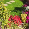 طراحی و اجرای فضای سبز در باغ و حیاط منزل شما