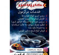 ارائه خدمات ریمپ خودرو در یزد