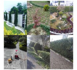انجام خدمات باغبانی و فضای سبز و علف تراشی در نوشهر و چالوس