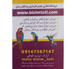 فروشگاه آنلاین لوازم نگهداری پرندگان زینتی در تبریز