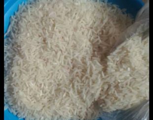 فروش برنج فجر در گلستان – علی آباد کتول