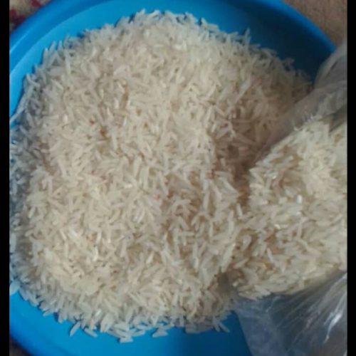 فروش برنج فجر در گلستان – علی آباد کتول