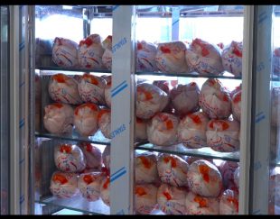 مرکز فروش مرغ و ماهی در همدان