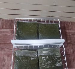 تهیه ، تولید و فروش سبزی آب پز در خوزستان – شوش
