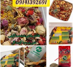 خوراک هانتر پلاس مخصوص طوطی سانان در آذربایجان غربی و سراسر ایران