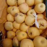 خرید و فروش و صادرات انواع میوه در میاندوآب