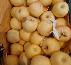 خرید و فروش و صادرات انواع میوه در میاندوآب
