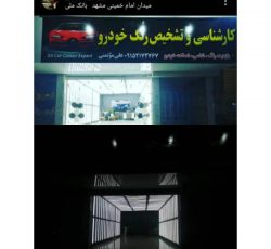 کارشناسی و تشخیص رنگ خودرو علی موتمنی در مشهد