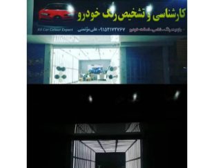 کارشناسی و تشخیص رنگ خودرو علی موتمنی در مشهد