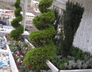 بهترین مرکز باغبانی سمپاشی چمن کاری در تهران – لواسان