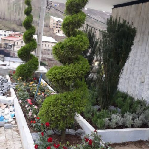 بهترین مرکز باغبانی سمپاشی چمن کاری در تهران – لواسان