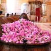 گلاب محمدی قمصر کاشان – تولید و فروش عمده گلاب سنتی و شربت سنتی و ارگانیک در کاشان و سراسر کشور