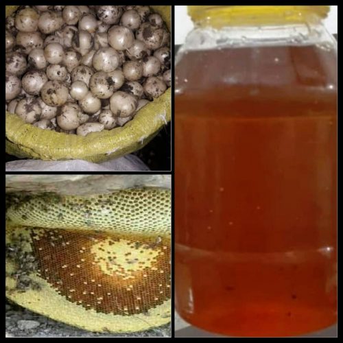 محصولات ناب کهمان – مرکز فروش عسل ناب ، زعفران درجه یک ، موسیر وحشی و گردوی صادراتی در الشتر – لرستان