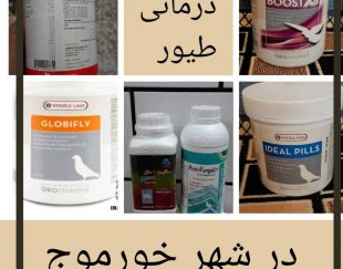 داروهای درمانی طیور در استان بوشهر