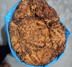 خرید و فروش تنباکو بنیاد | کاکی بوشهر