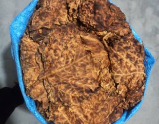 خرید و فروش تنباکو بنیاد | کاکی بوشهر