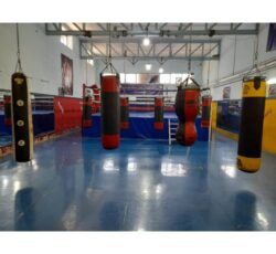 آموزش حرفه‌ای بوکس در شیراز | هیات بوکس شیراز