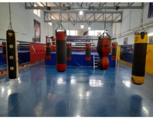 آموزش حرفه‌ای بوکس در شیراز | هیات بوکس شیراز