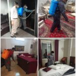 مرکز سمپاشی و کنترل حشرات و جوندگان در گرگان با مجوز وزارت بهداشت