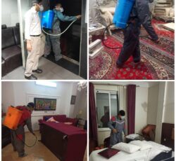 مرکز سمپاشی و کنترل حشرات و جوندگان در گرگان با مجوز وزارت بهداشت