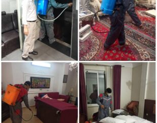 مرکز سمپاشی و کنترل حشرات و جوندگان در گرگان با مجوز وزارت بهداشت