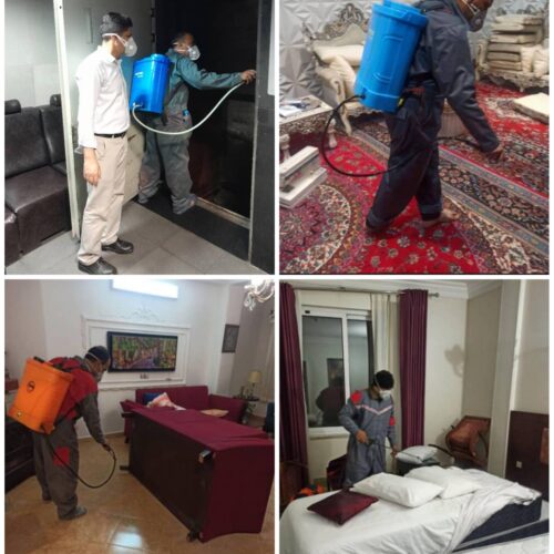 مرکز سمپاشی و کنترل حشرات و جوندگان در گرگان با مجوز وزارت بهداشت