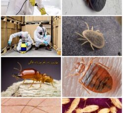 شرکت سمپاشی سیار ثنا در سنندج | خدمات فوری و تضمینی