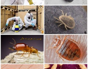 شرکت سمپاشی سیار ثنا در سنندج | خدمات فوری و تضمینی